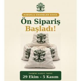 Kabuklu Ceviz 3 kg (ÖN SİPARİŞ)